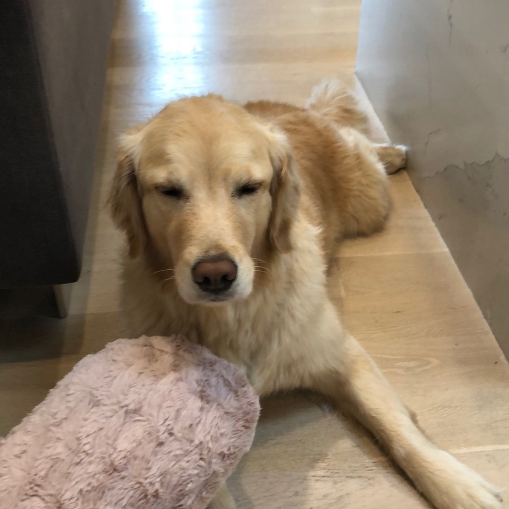 Meet your Posher, Elli